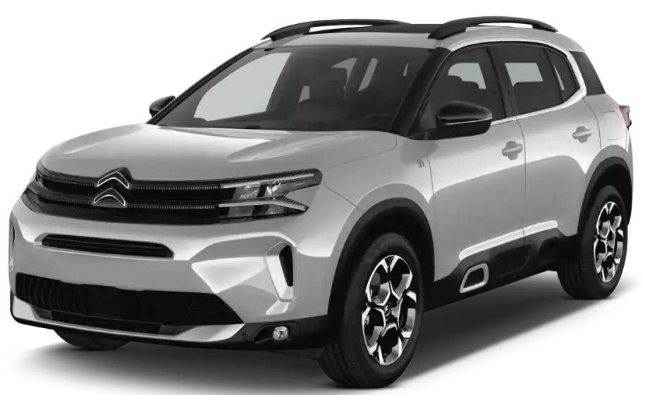 SUV / 4x4 — ex : Talisman, Q3